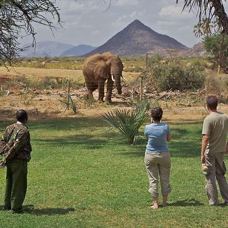 Ashnil Samburu Camp Hotell Exteriör bild