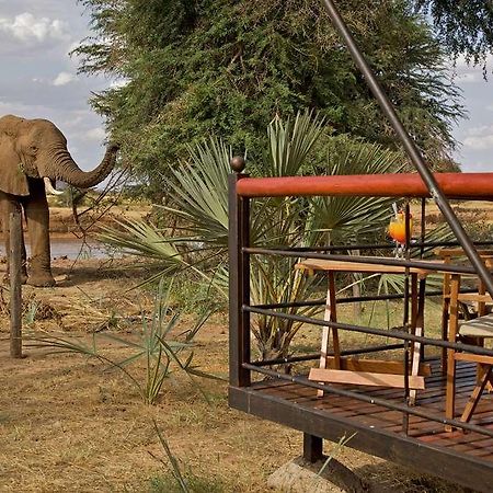 Ashnil Samburu Camp Hotell Exteriör bild