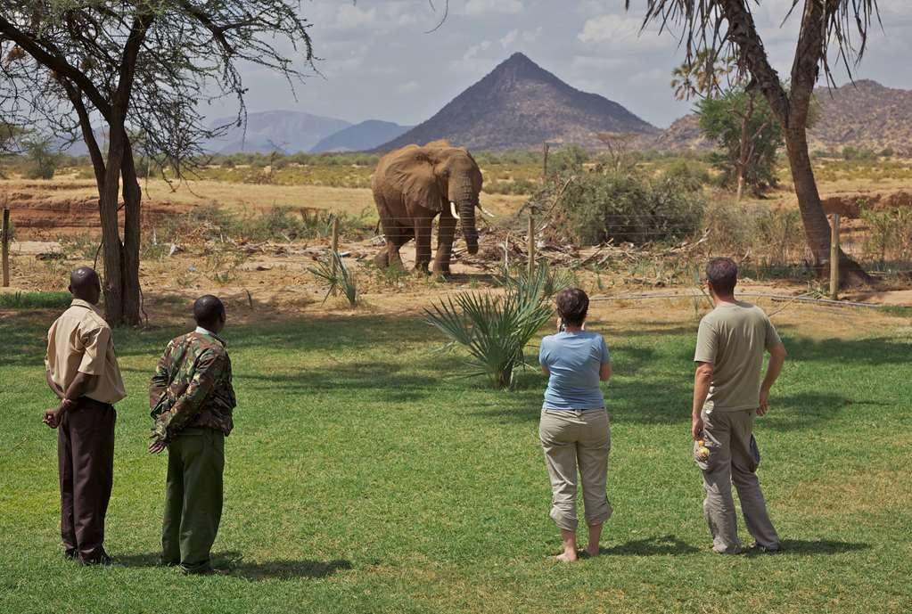 Ashnil Samburu Camp Hotell Exteriör bild