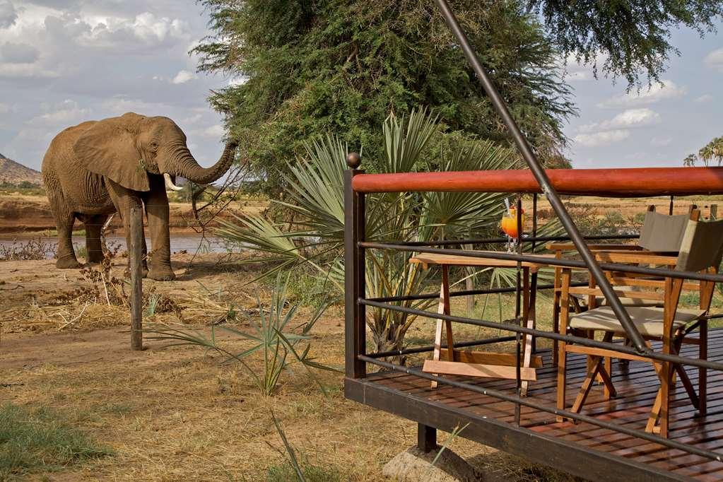 Ashnil Samburu Camp Hotell Exteriör bild