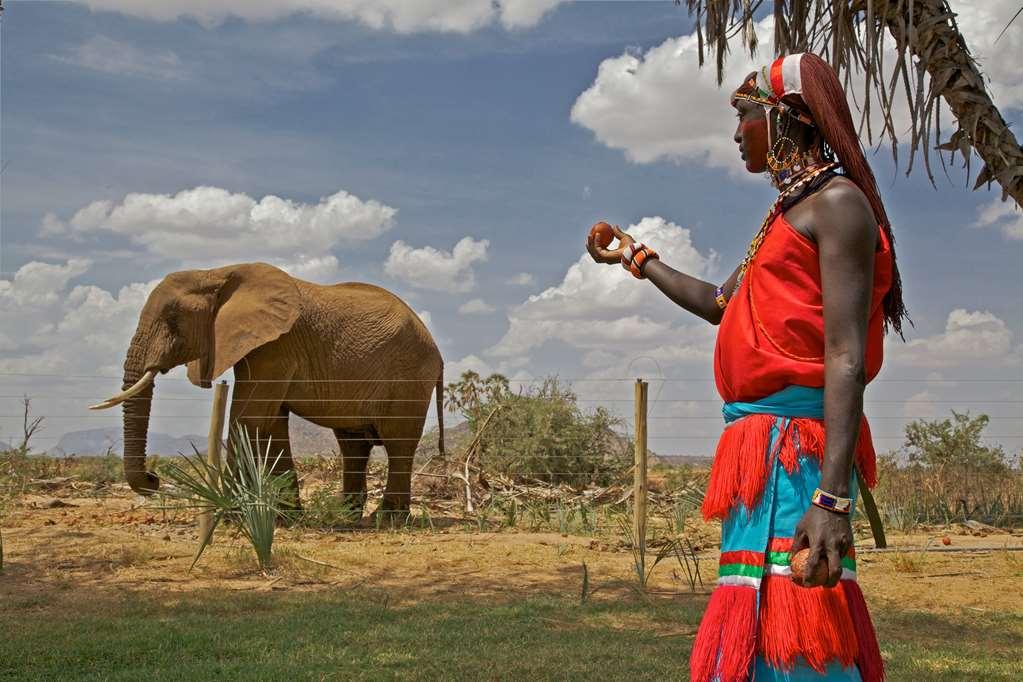 Ashnil Samburu Camp Hotell Bekvämligheter bild