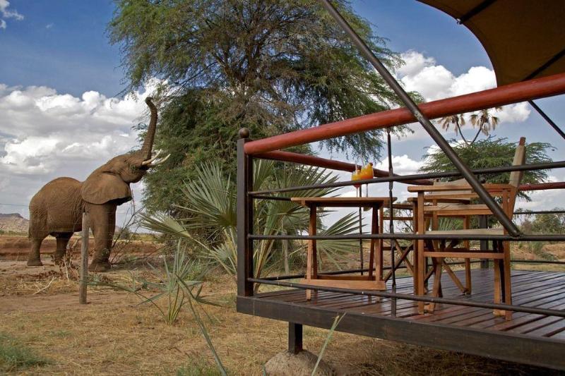 Ashnil Samburu Camp Hotell Exteriör bild