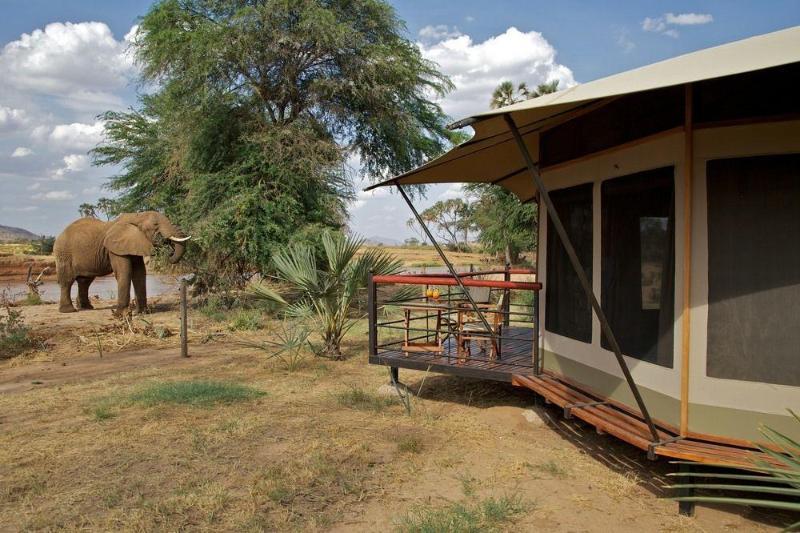 Ashnil Samburu Camp Hotell Exteriör bild