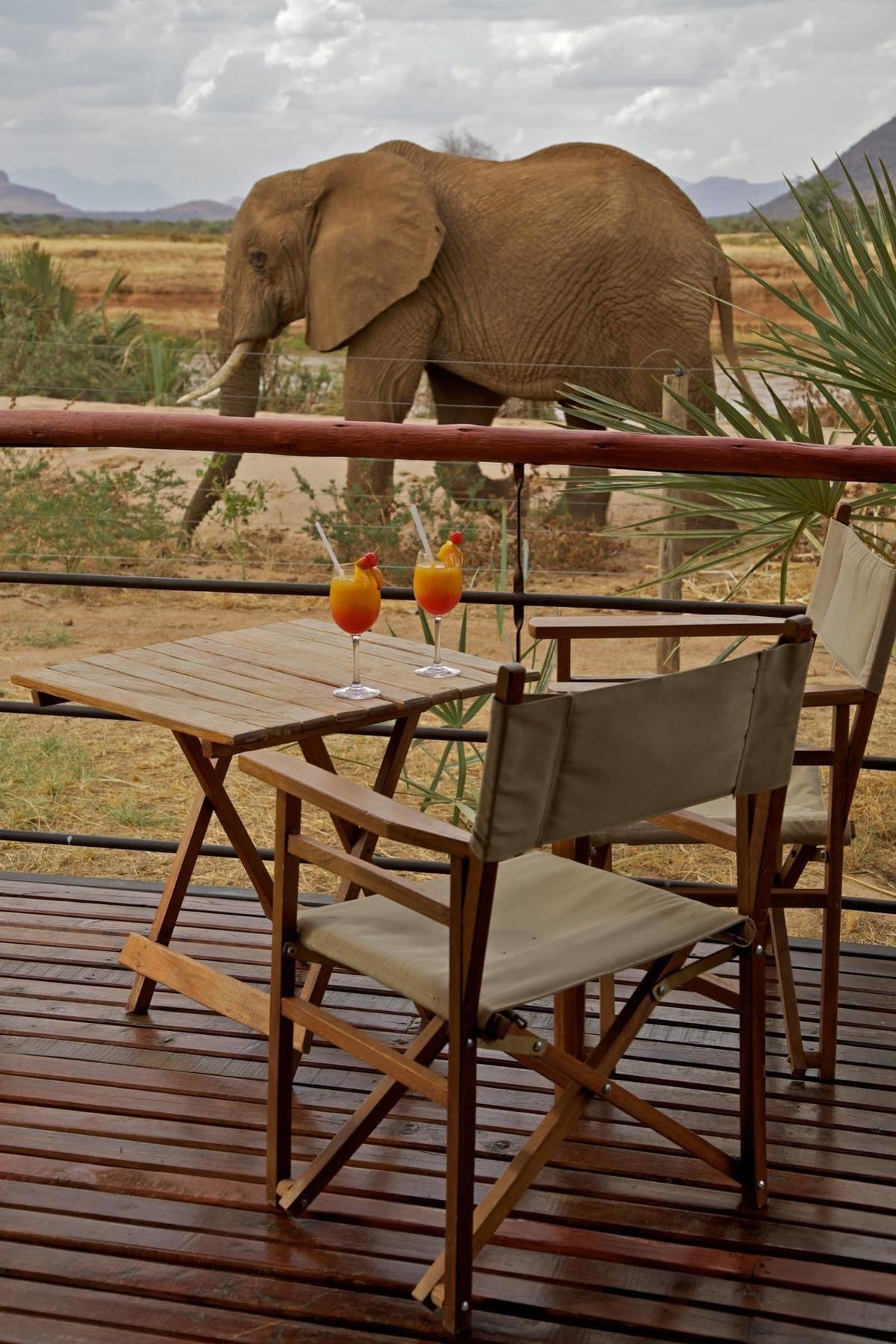 Ashnil Samburu Camp Hotell Exteriör bild